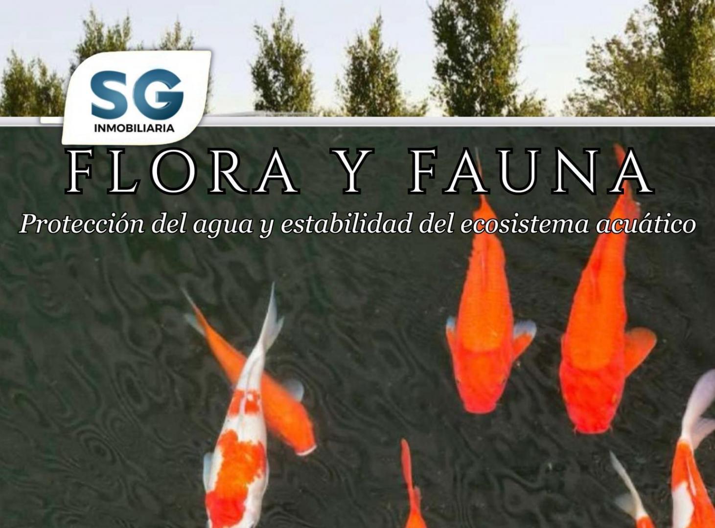 Foto de Funes Lakes Barrio Privado - LOTES EN VENTA - Funes, Santa Fe., imagen 4