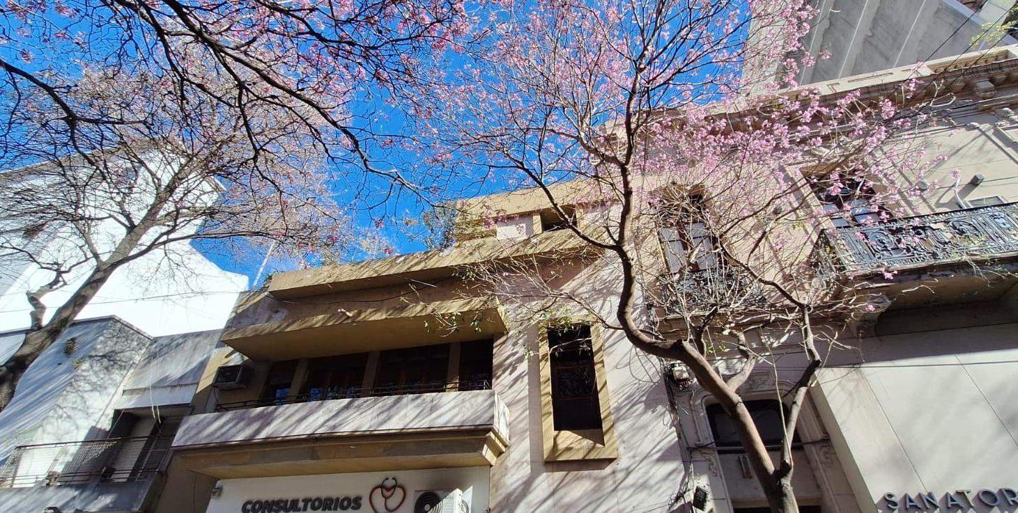 Foto de Casa EN VENTA, PLANTA ALTA, balcón al frente, con inmensa terraza, imagen 3