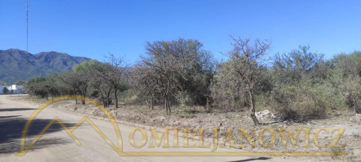 Foto de ¡Los mejores terrenos con inmejorable ubicación comercial! Ruta, imagen 5