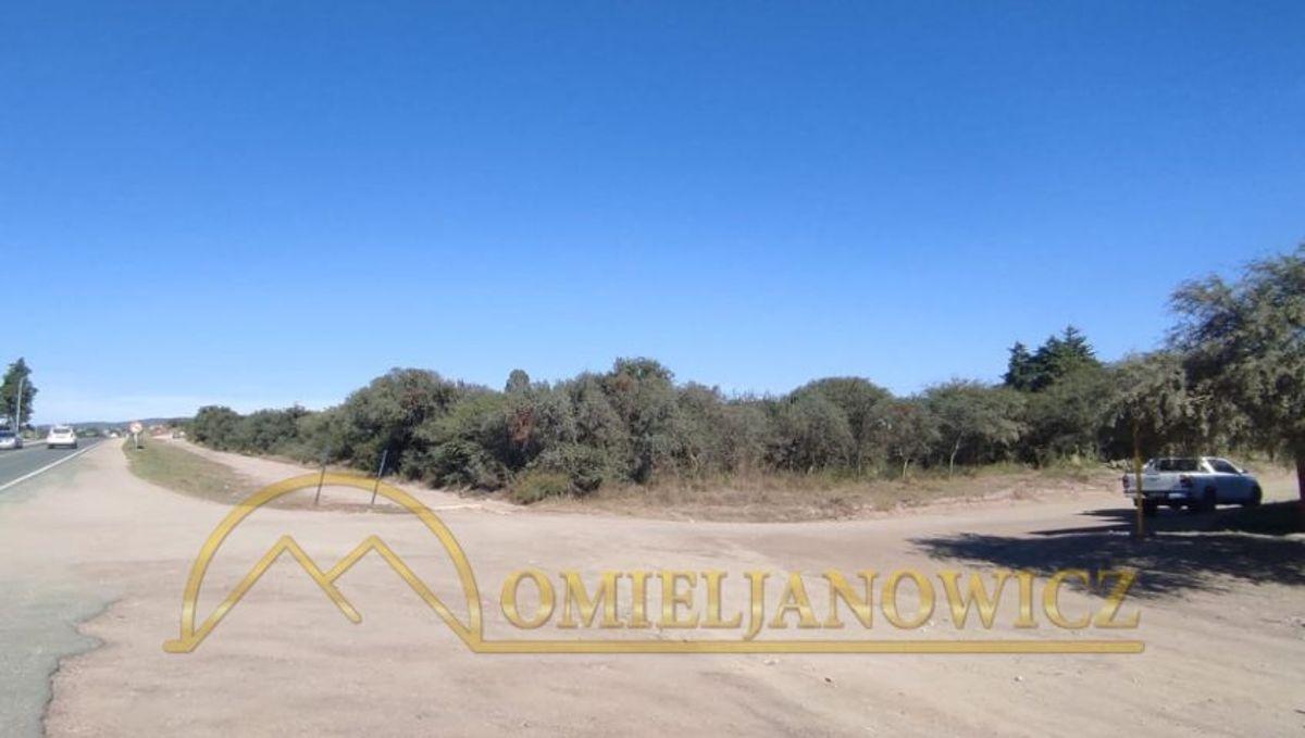 Foto de ¡Los mejores terrenos con inmejorable ubicación comercial! Ruta, imagen 4