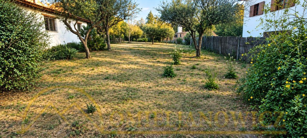 Foto de Hermoso terreno en excelente ubicación, a mts. de la Avenida Las, imagen 5