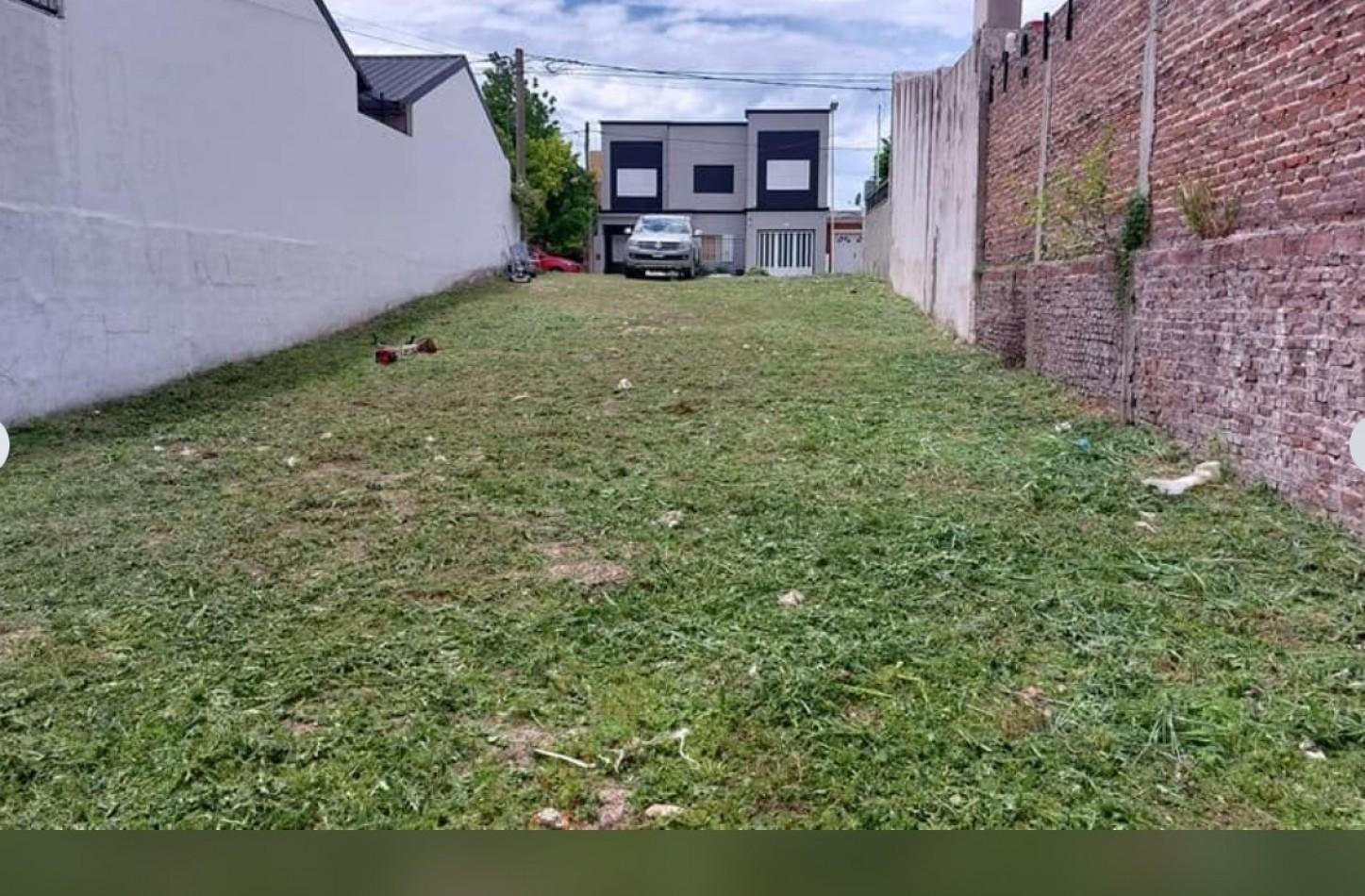 Foto de LOTE EN CALLE 1538, A UNA CUADRA DE JUAN BAEZ Y MOISES LEBENSOHN, imagen 4