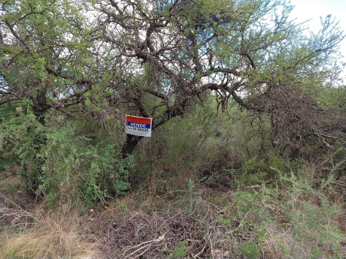 Foto de Lote esquina en B° El Tajamar Las Rabonas, imagen 3