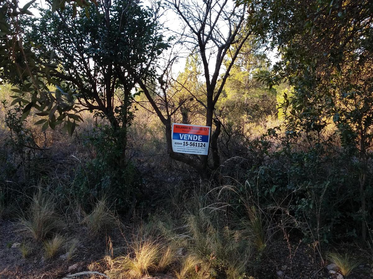 Foto de Terreno 46.960 m2 en Las Rabonas con salida a 2 calles, imagen 3