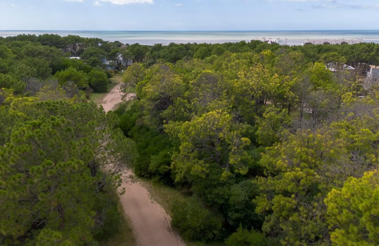 LOTE EN VENTA EN PINAMAR NORTE - ENTORNO RESIDENCIAL Y ZONA TRANQUILA 2