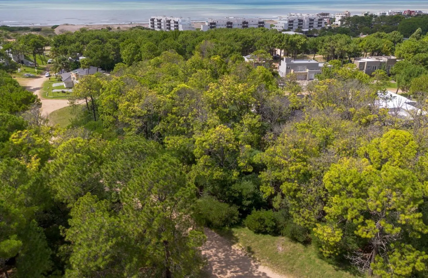 LOTE EN VENTA EN PINAMAR NORTE - ENTORNO RESIDENCIAL Y ZONA TRANQUILA 4