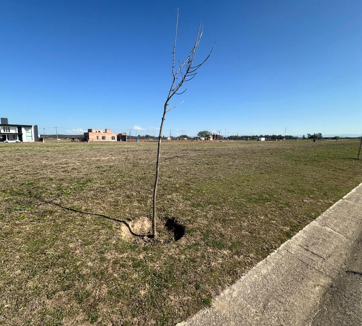 Foto de Lote en Venta Aquavista 520 m Cerca de la Laguna, imagen 1