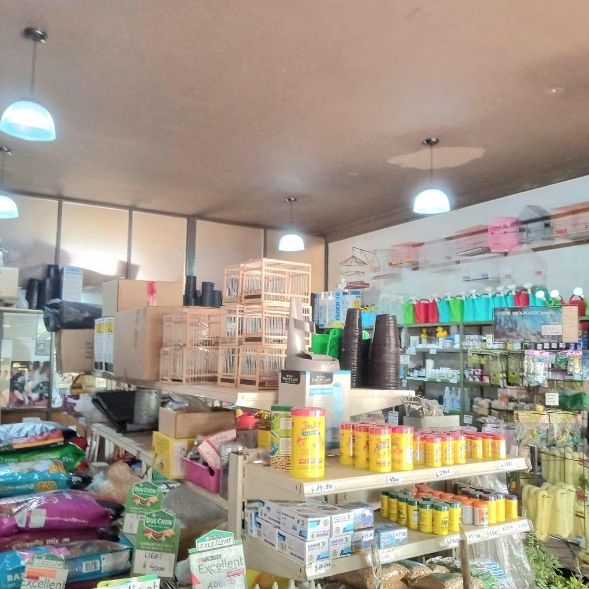 Foto de FONDO DE COMERCIO DE AGROVETERINARIA CON 46 AÑOS DE ÉXITO EN MIRAMAR, imagen 5