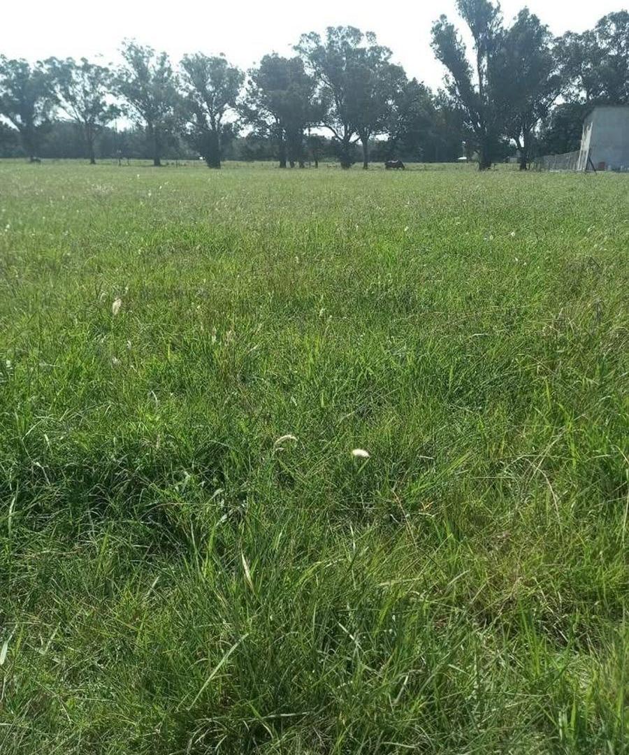 Foto de Terreno / Lote en venta de 645m2 ubicado en Santa Clara del Mar, imagen 5