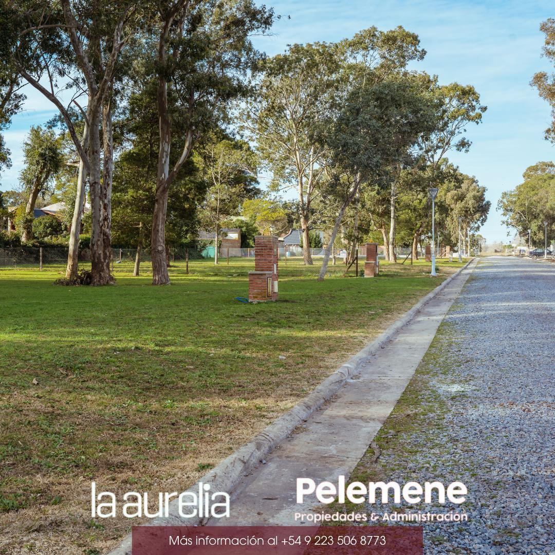 Terrenos en Barrio Residencial "La Aurelia" 5