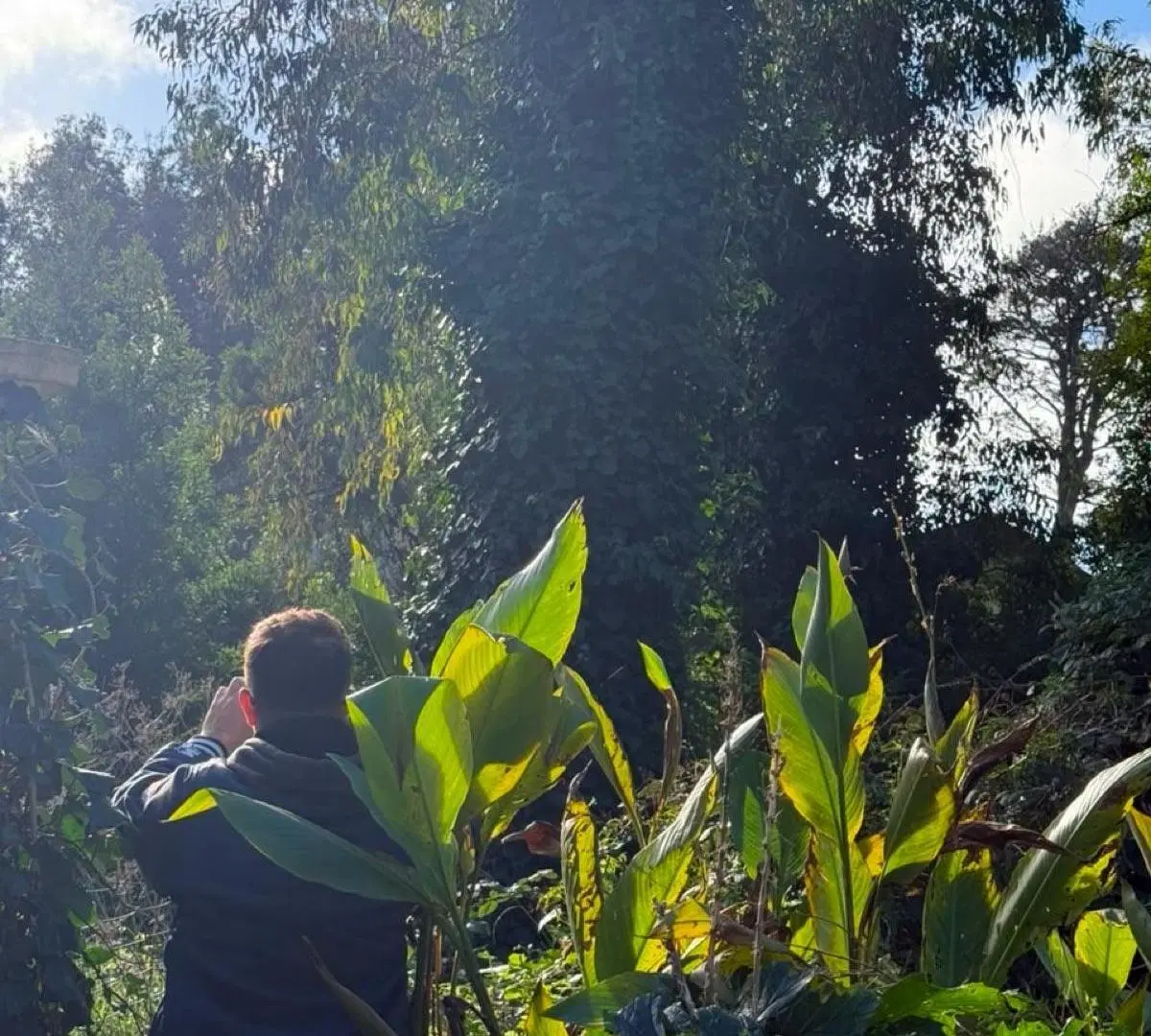 Terreno - Bosque Peralta Ramos 3