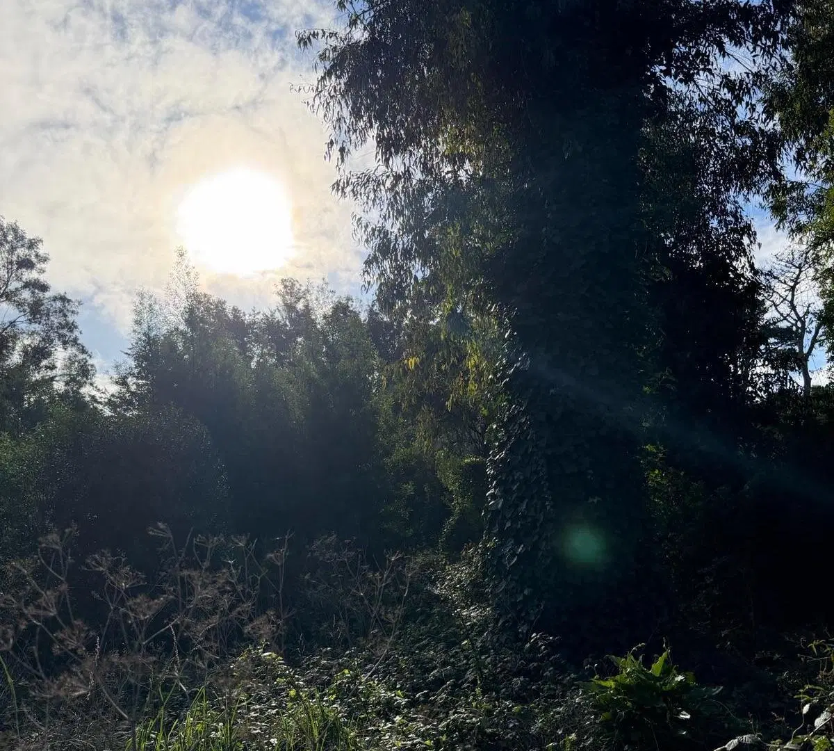 Terreno - Bosque Peralta Ramos 2