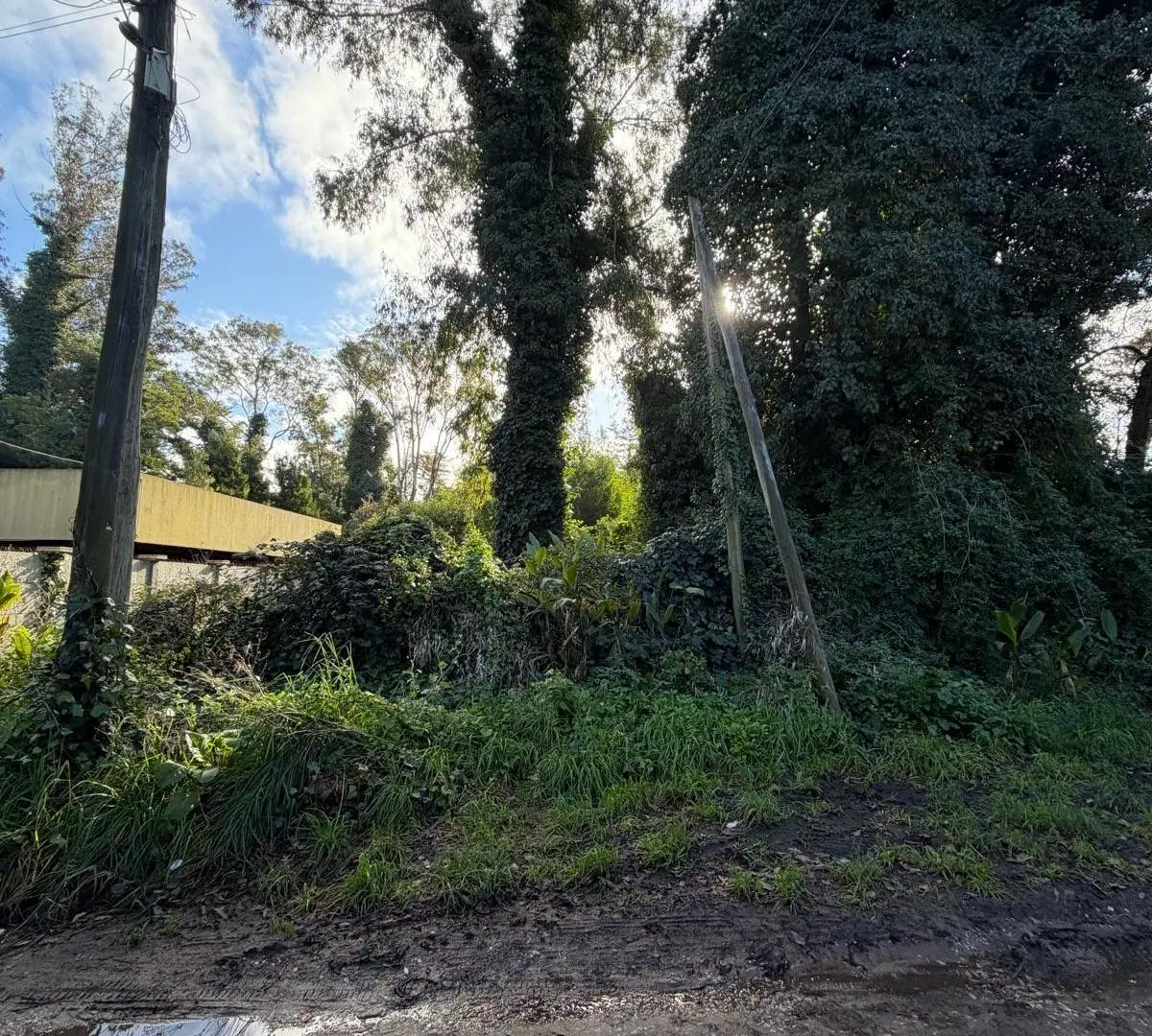Terreno - Bosque Peralta Ramos 5