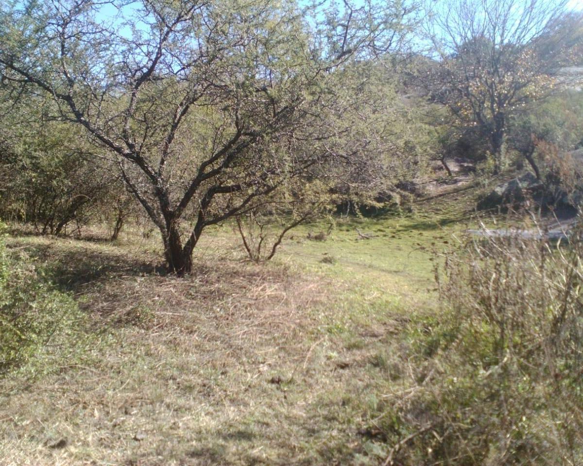 Oportunidad Inversión Arroyo Escritura Lotes Villa Parque Siquiman 2