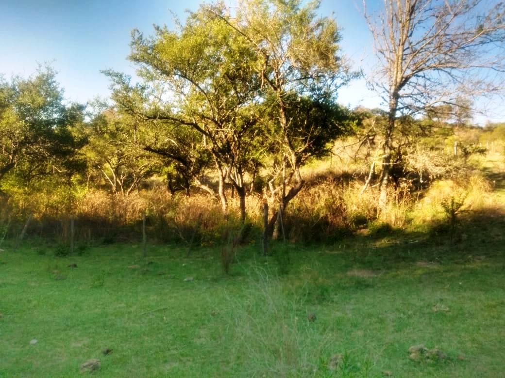 Liquido! Lote 750 m² Villa_los_aromos_córdoba Entorno Seguro Natural $6.000.000 3
