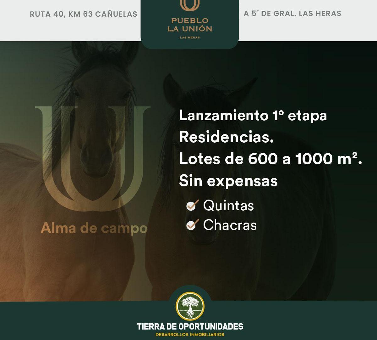 Foto de Lote 600m2 En Pueblo La Unión Grl Las Heras, imagen 3