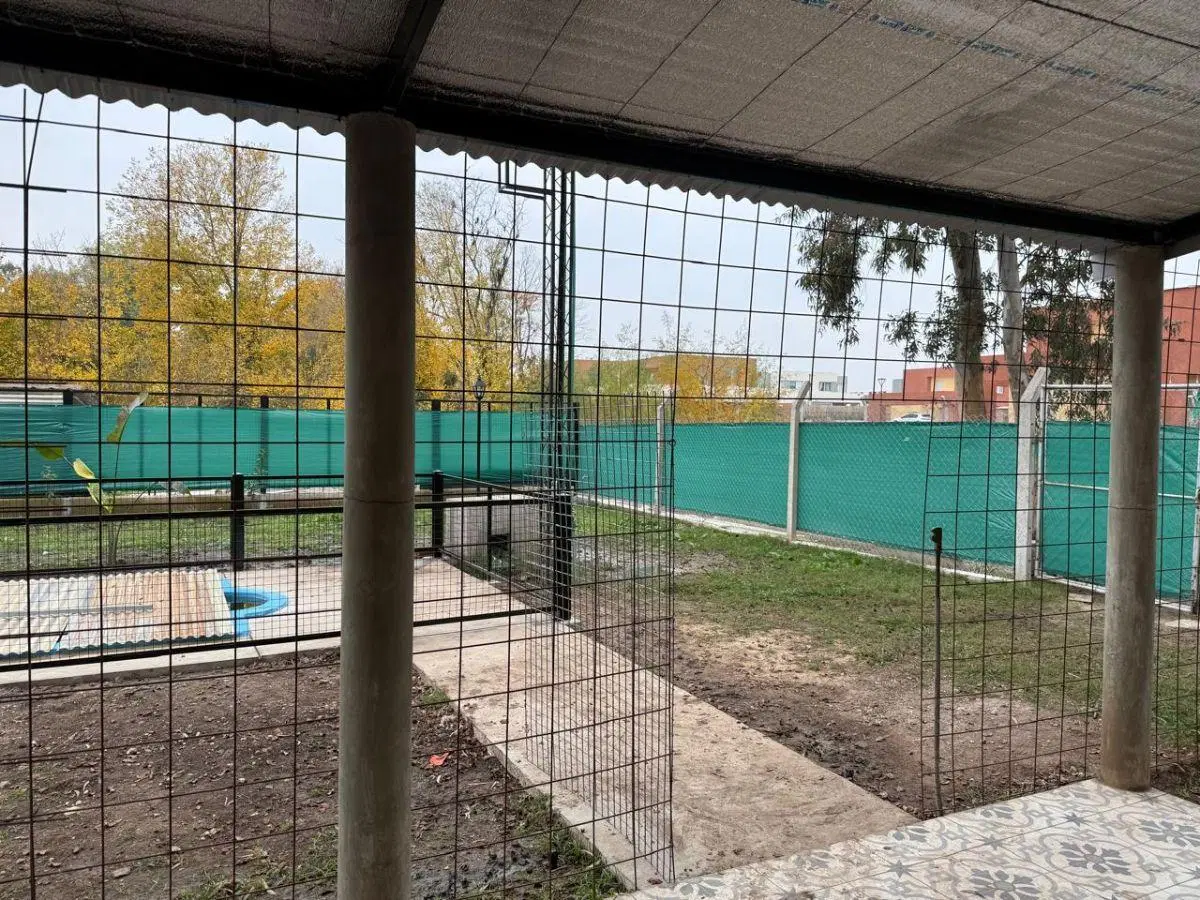 Pilar del Este, Zelaya / Gran Casa 5