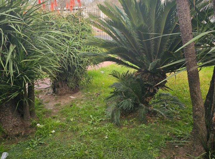 Alquiler 1200 mts CASA PACHECO 197 Y PANAMERICANA 3