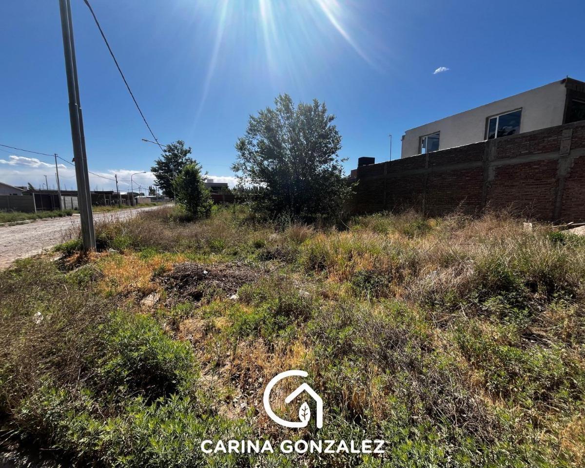 Vende Terreno en Altos de Alberdi IV Plottier Neuquen 5