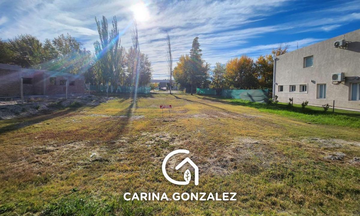 Venta - Terreno - Comahue Golf Club - Confluencia 2