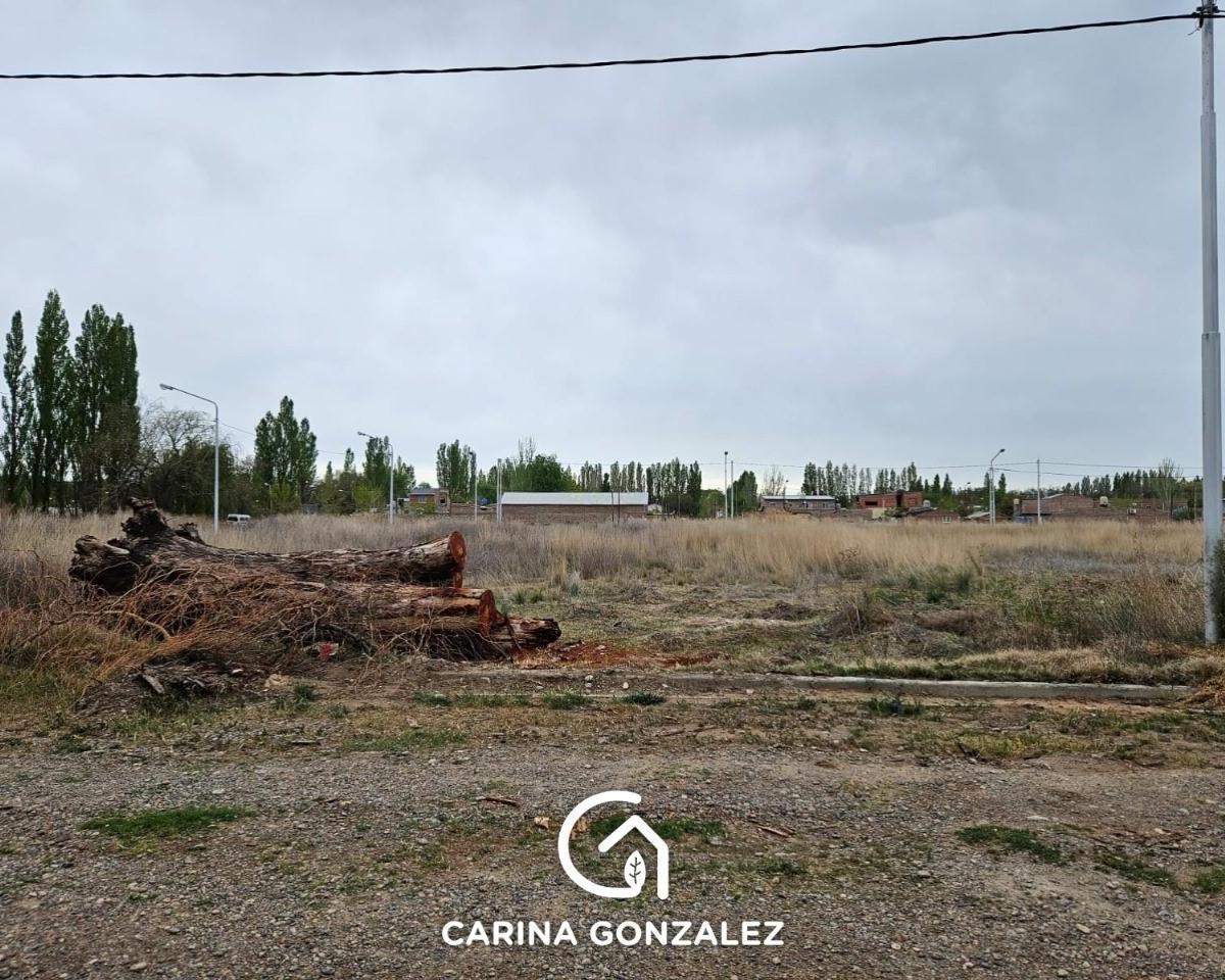 Terreno en Loteo Mangeles Plottier 4
