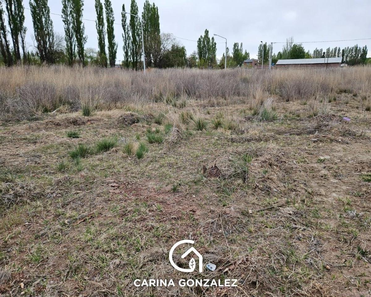 Terreno en Loteo Mangeles Plottier 1