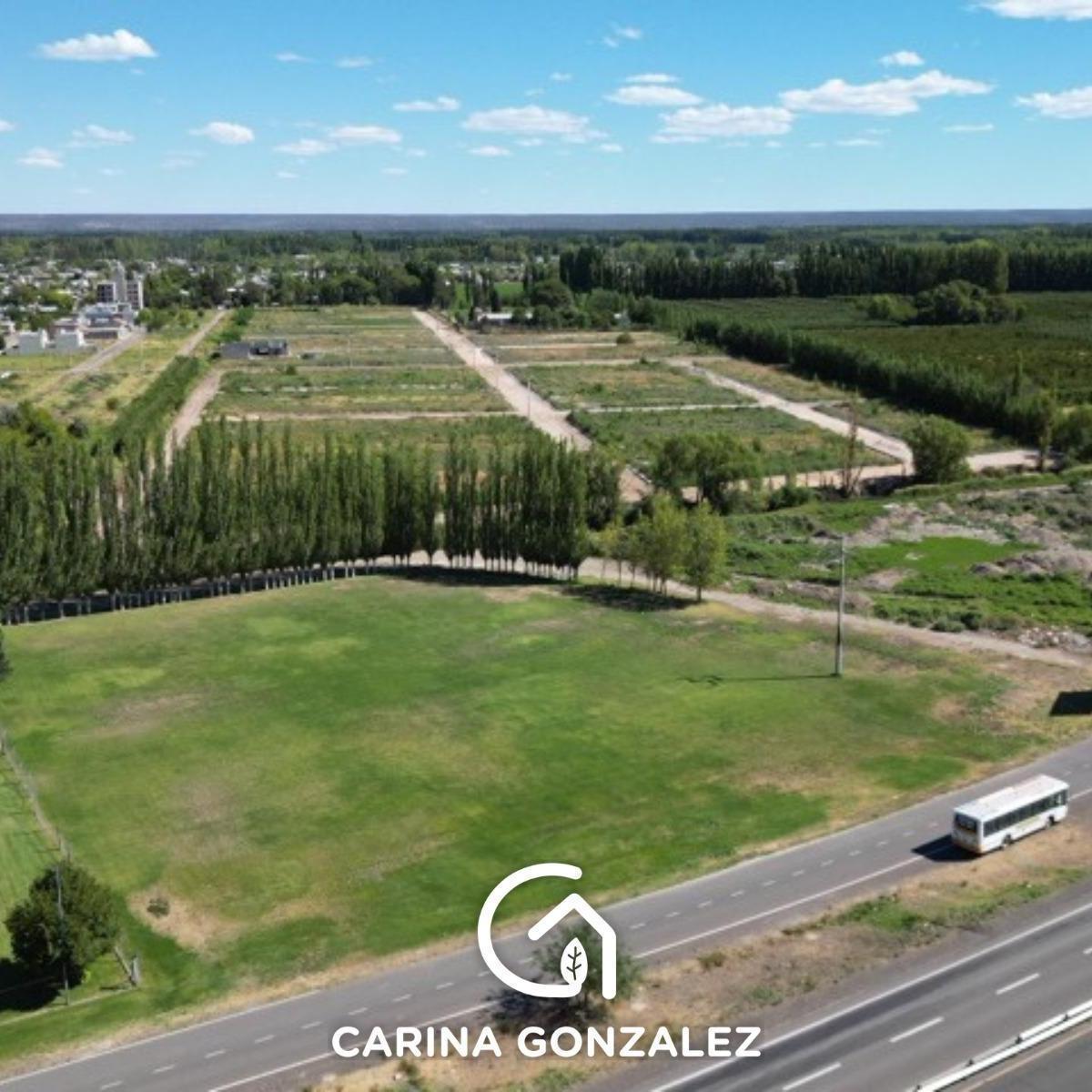 Terreno Sobre Ruta 22 - Villa Regina - Rio Negro 1