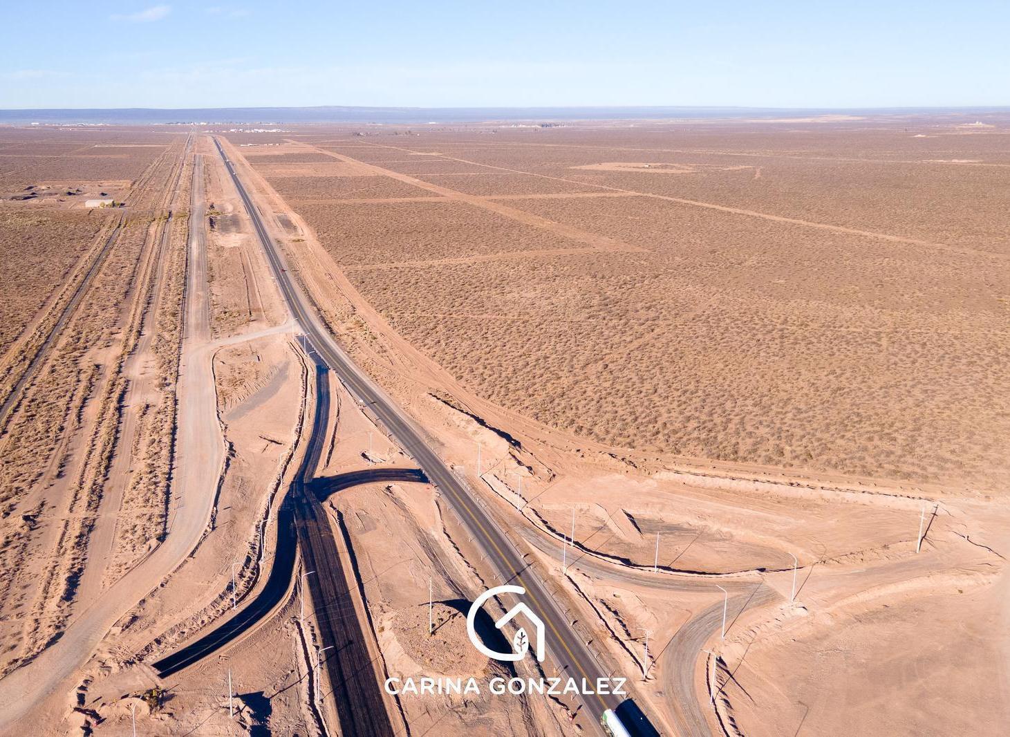 VENTA 10 HECTAREAS PIN-NEUQUEN (OESTE)