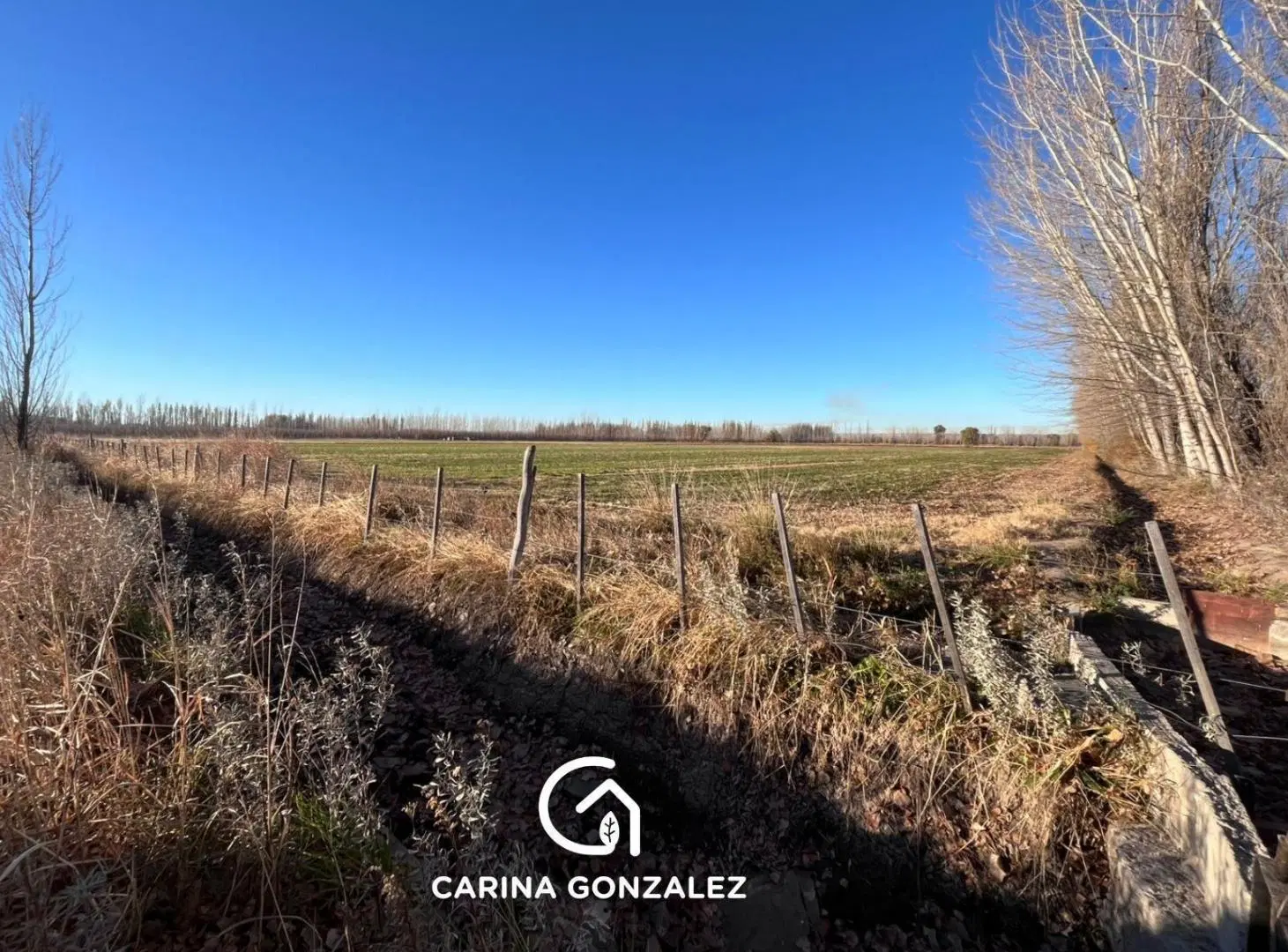 Chacra en Venta Guerrico O P O R T U N I D A D VENTA DE CHACRA 8 CON FRENTE DE RUTA 65 4