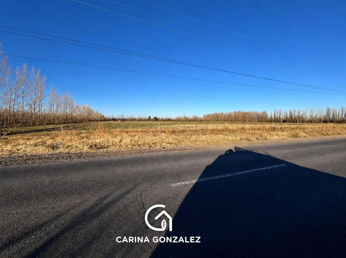 Chacra en Venta Guerrico O P O R T U N I D A D VENTA DE CHACRA 8 CON FRENTE DE RUTA 65 5