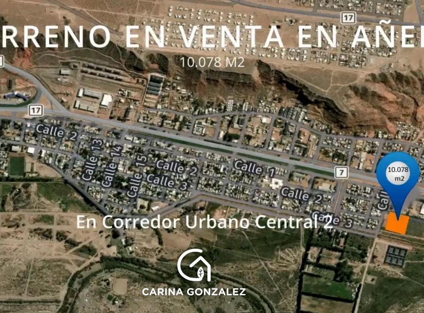 Foto de Terreno- 1 Ha. en venta- Añelo- Neuquen, imagen 2