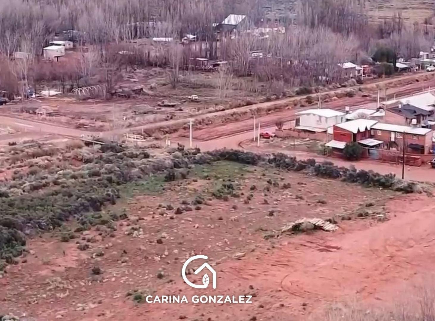 Foto de Terreno- 1 Ha. en venta- Añelo- Neuquen, imagen 4