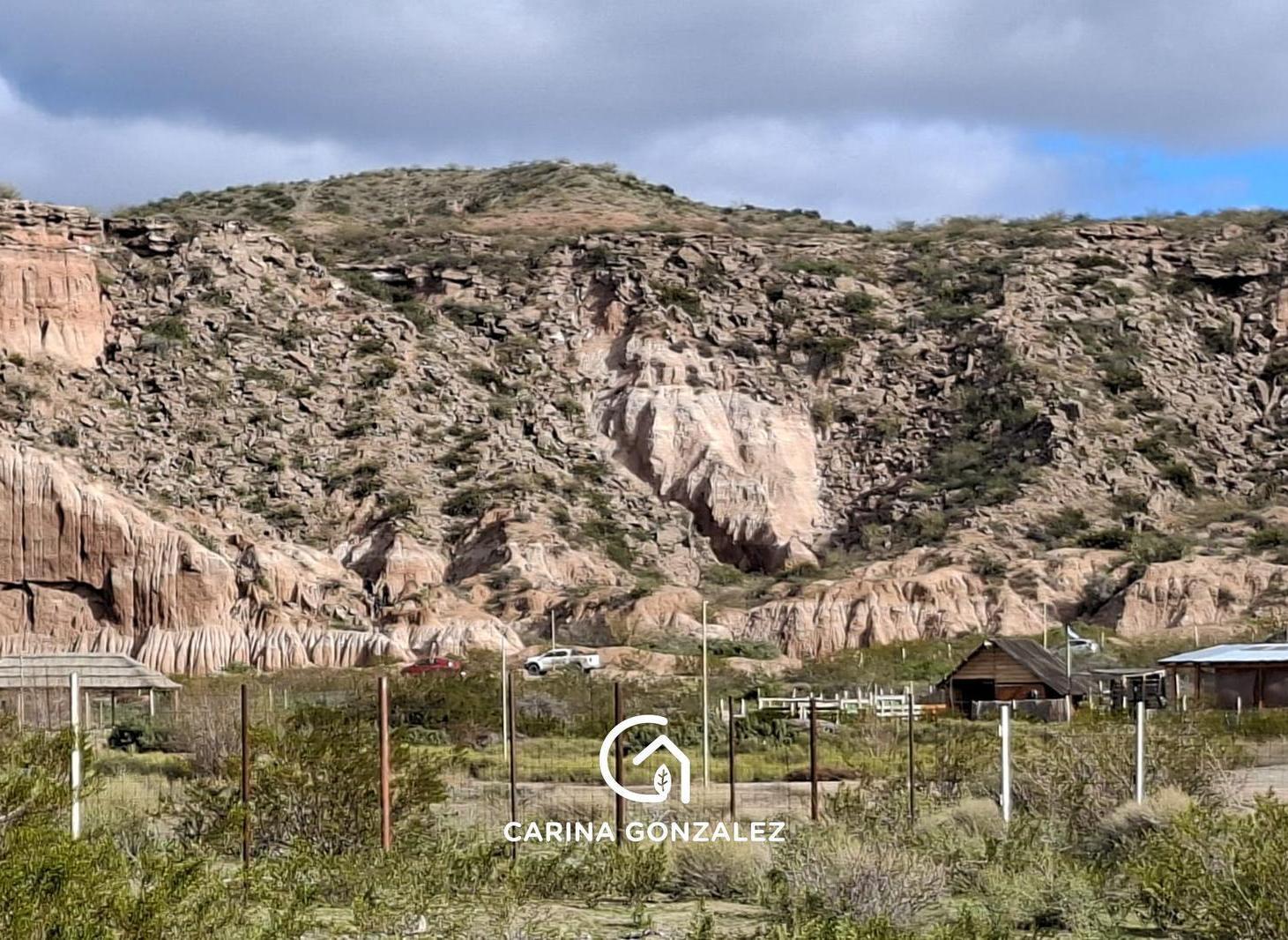 Foto de Terreno Cueva del leon Cipolletti, imagen 4