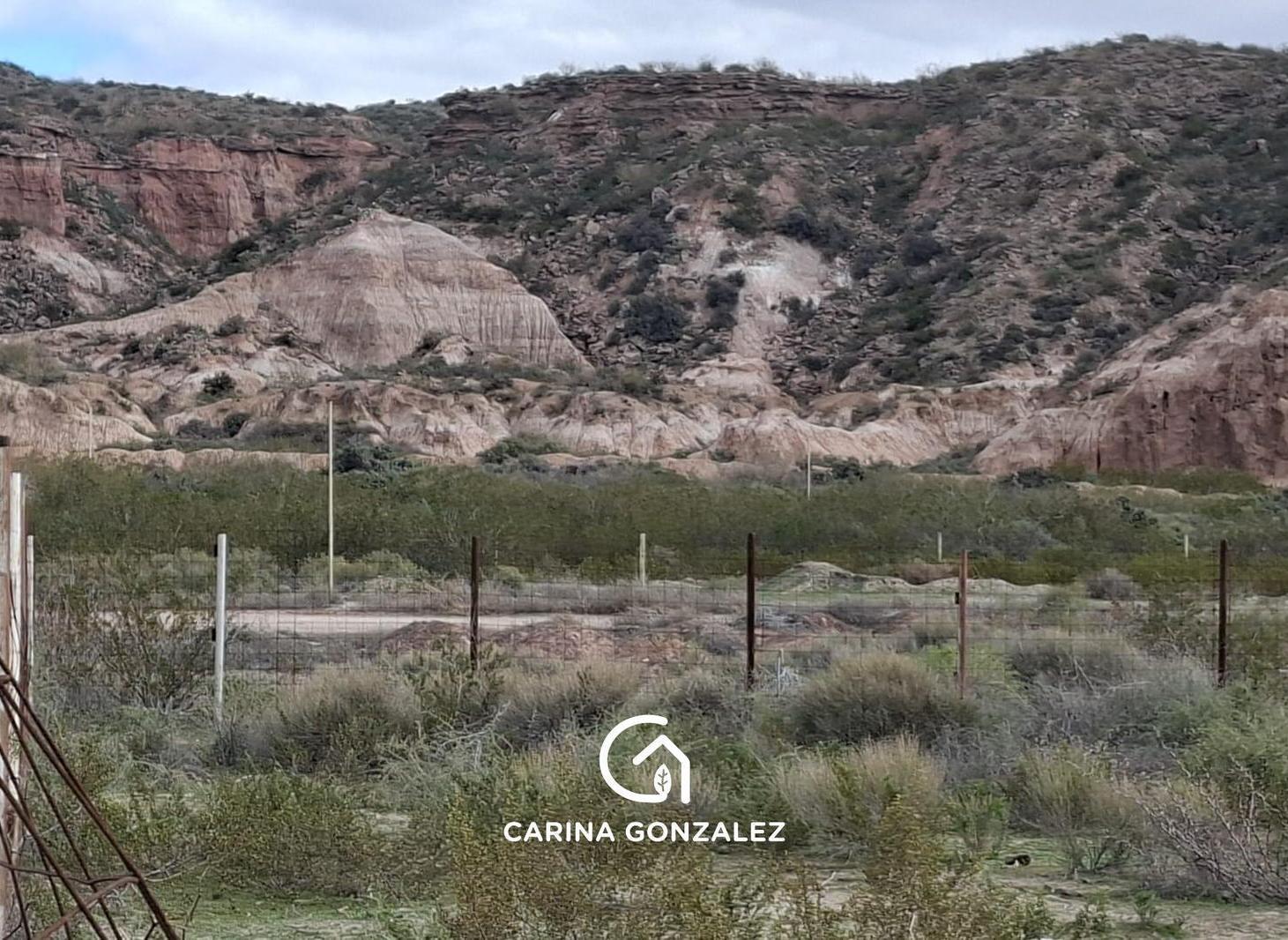 Foto de Terreno Cueva del leon Cipolletti, imagen 3