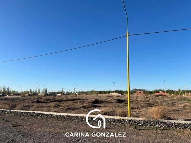 Foto de Terreno en Añelo, imagen 2
