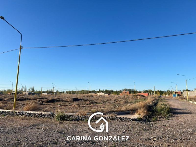 Foto de Terreno en Añelo, imagen 3