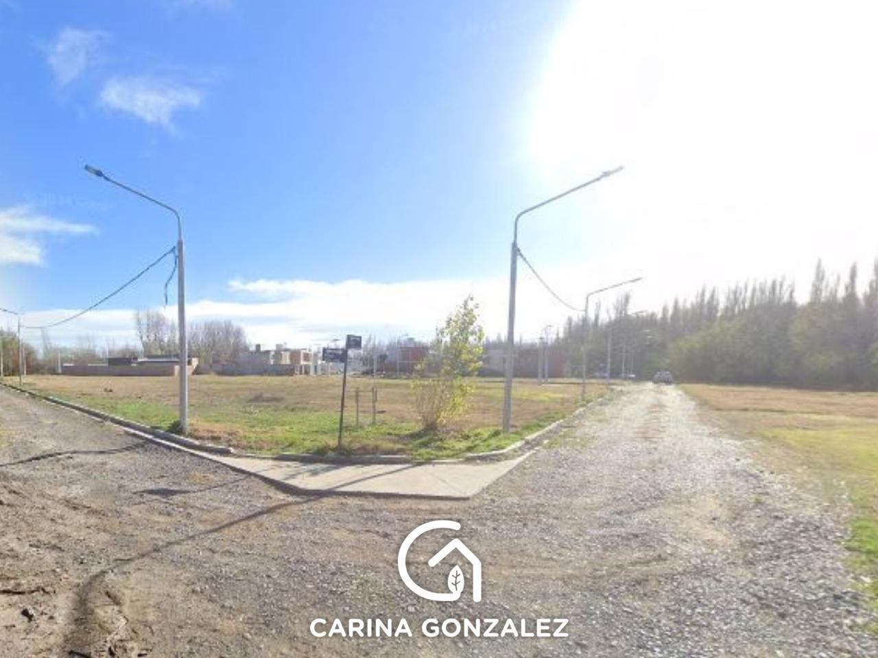 Foto de Loteo Ayres del Limay, imagen 2
