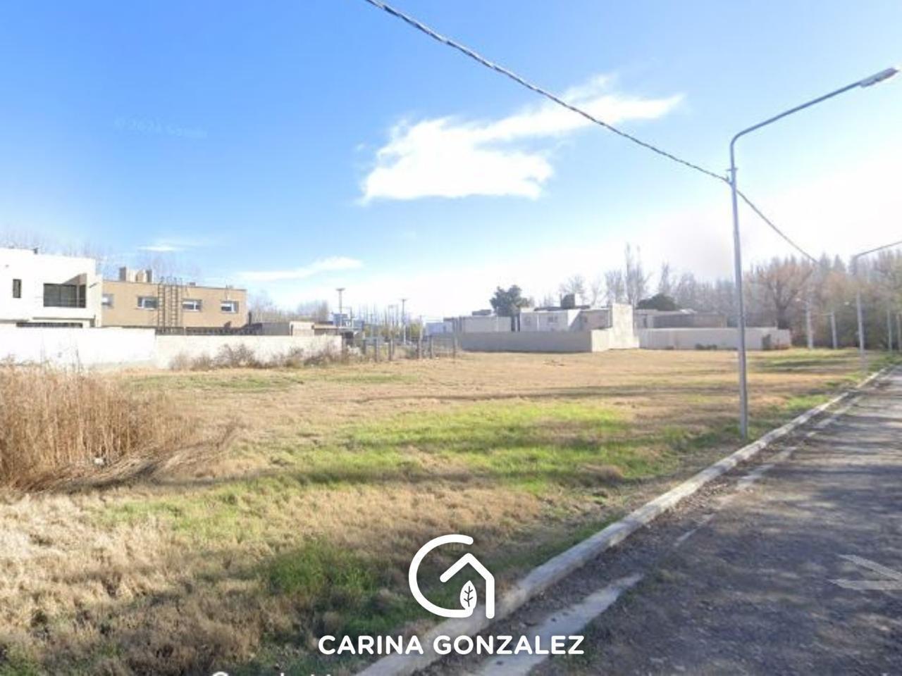 Foto de Loteo Ayres del Limay, imagen 5