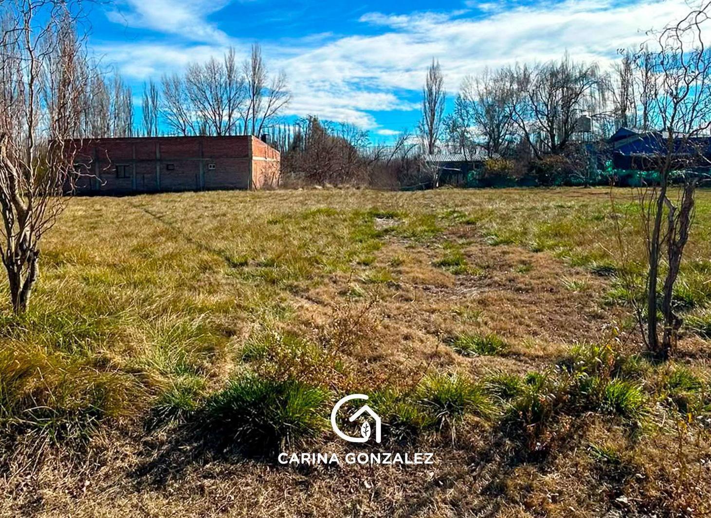 Foto de Terreno en Vista Alegre Norte, imagen 1