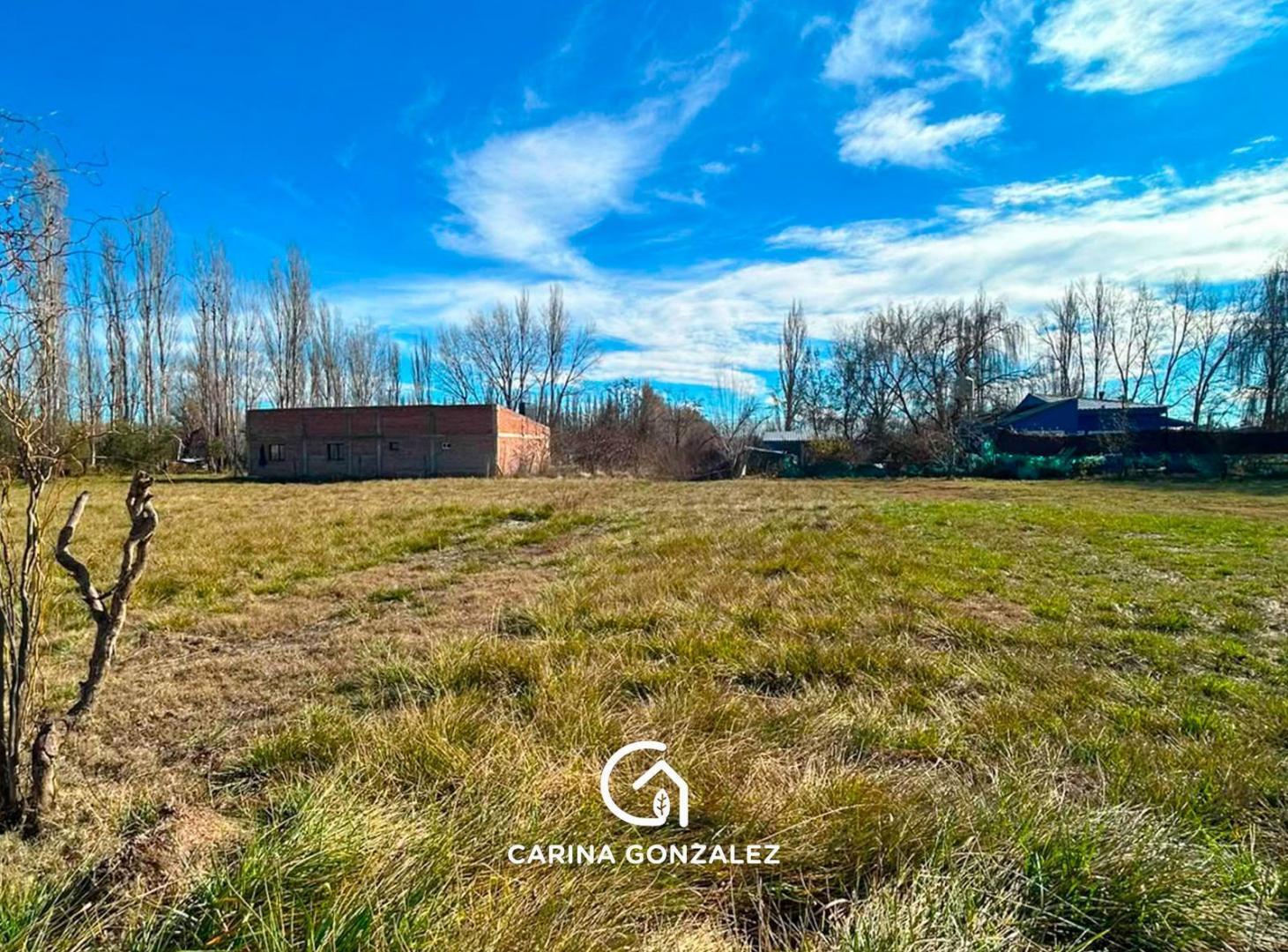 Foto de Terreno en Vista Alegre Norte, imagen 4