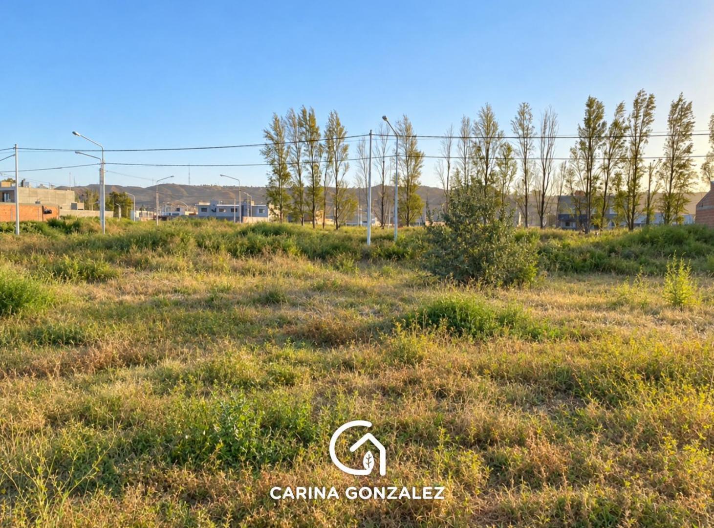 Foto de Terreno en B Rincon del rio, imagen 2