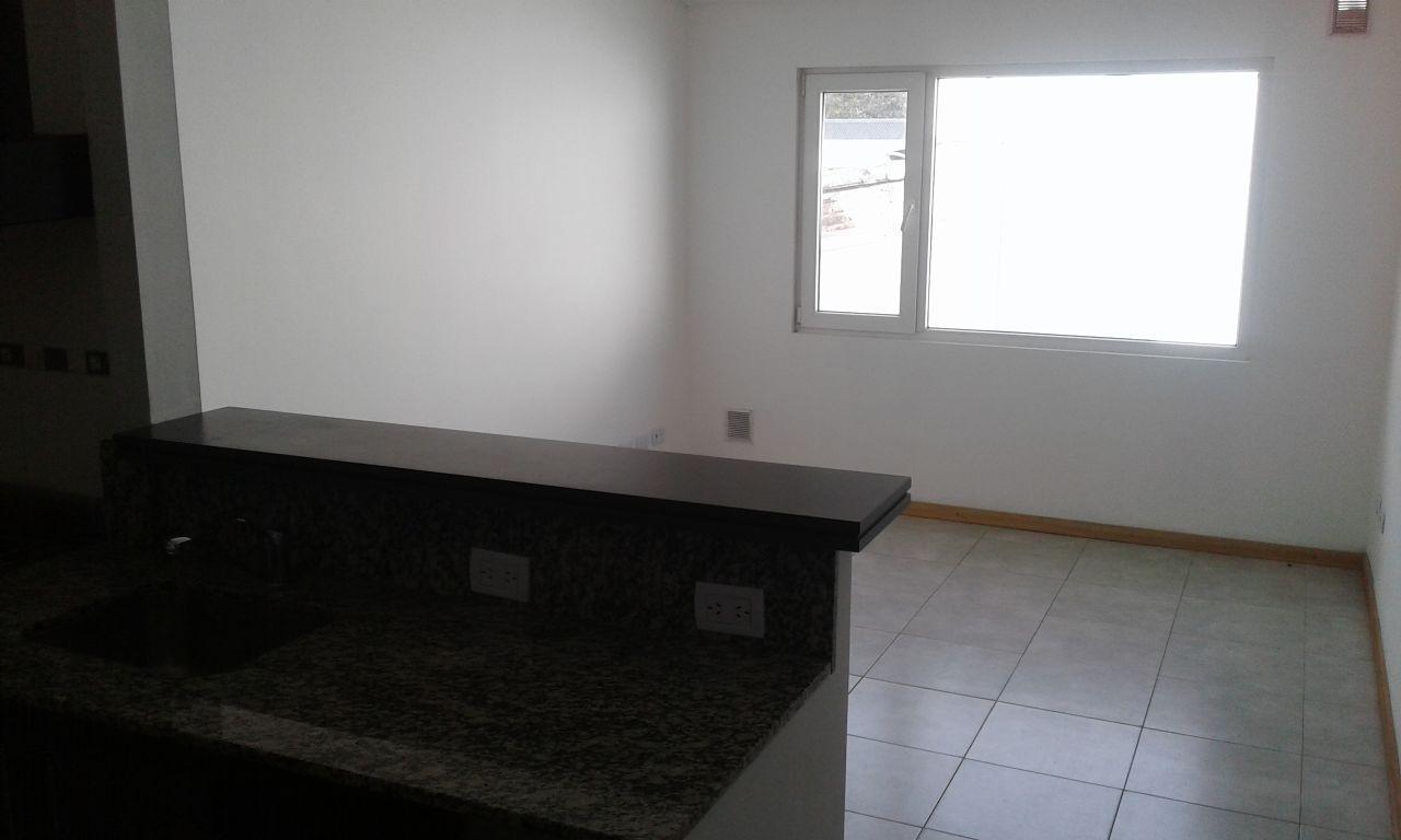 Foto de Departamento en Alquiler ubicado en Centro, San Martin de los Andes, imagen 1