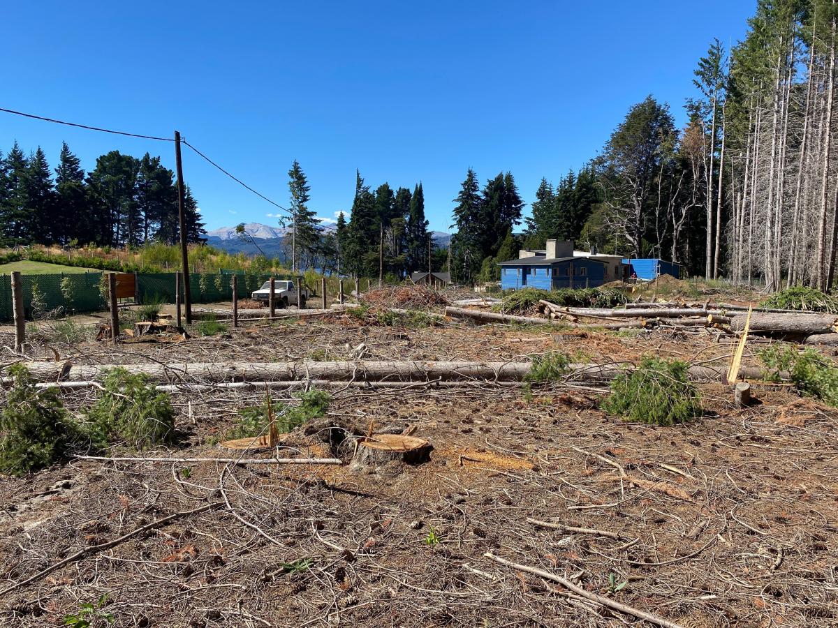Terreno de 2.869 m² en Venta Sobre Av Bustillo Bariloche 3