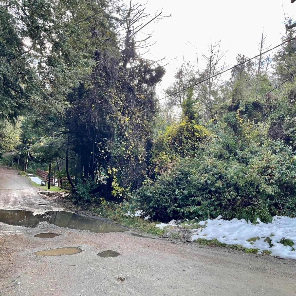 Terreno en Venta de 3686 m². Circuito Chico Km 18. Bariloche 3