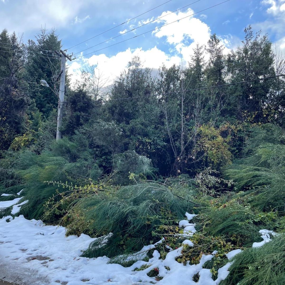 Terreno en Venta de 3686 m². Circuito Chico Km 18. Bariloche 5