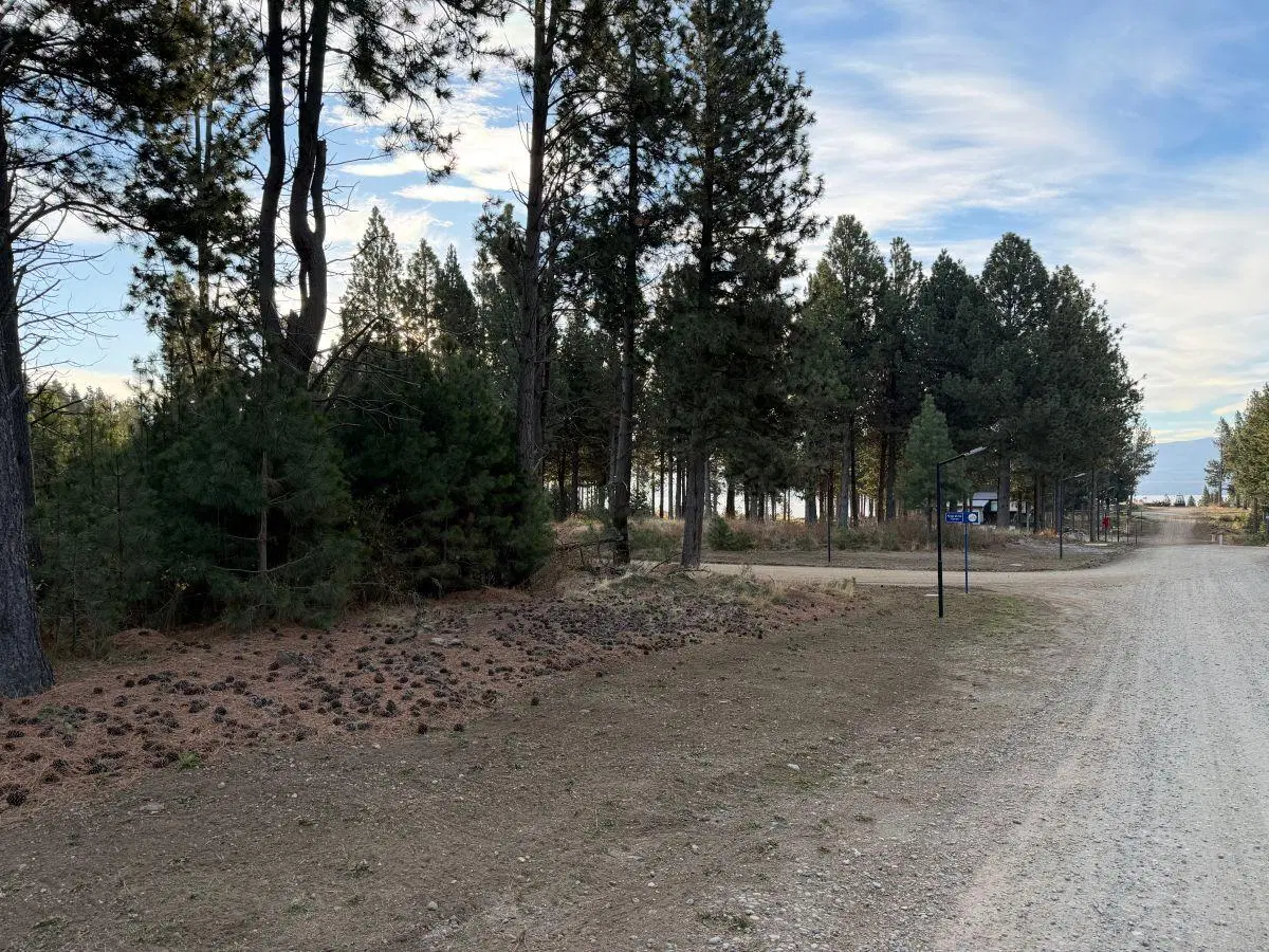Terreno en Venta en barrio cerrado Solares del Este. Bariloche. 1000 m2 4