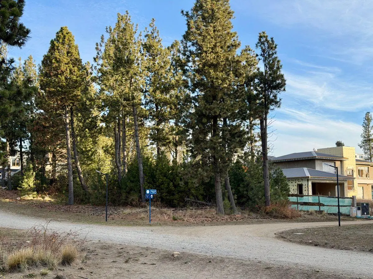Terreno en Venta en barrio cerrado Solares del Este. Bariloche. 1000 m2 5