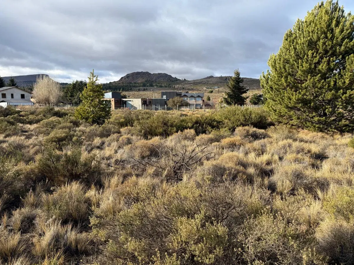 Terreno en Venta en Dina Huapi. El Milagro. 1333 m2
Cercano al Lago Nahuel Huapi y al Río Limay 1