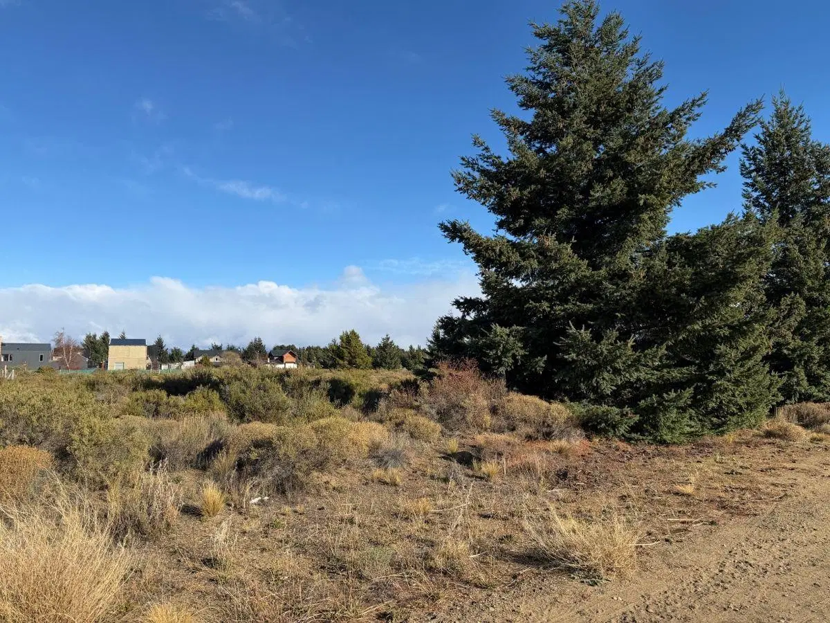 Dos terrenos en PH a la Venta en Dina Huapi. Barrio El Milagro. 643 m2 c/u 3