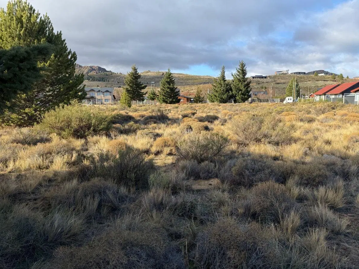 Dos terrenos en PH a la Venta en Dina Huapi. Barrio El Milagro. 643 m2 c/u 2